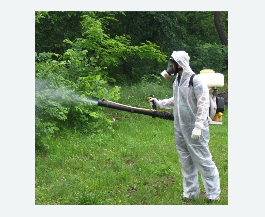 обработка дачи от клещей обработка территории от клещей Алексеевская метро Москвы