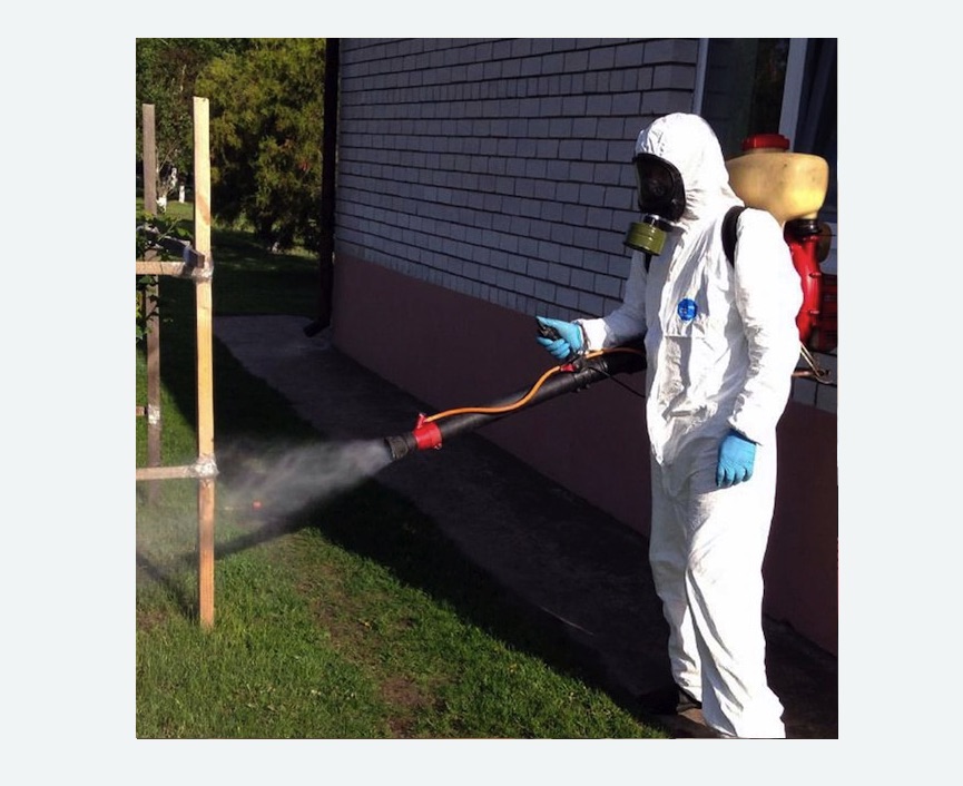 уничтожение клещей на участке травля клещей на участке Алексеевская метро Москвы