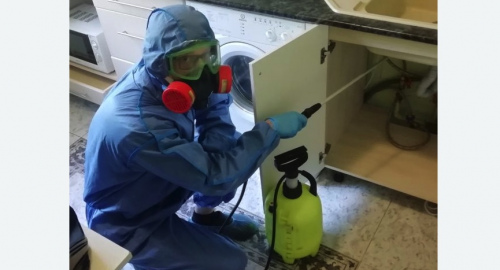 Уничтожение муравьев в квартире. Алексеевская