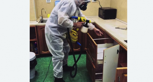 Уничтожение насекомых в квартире. Алексеевская