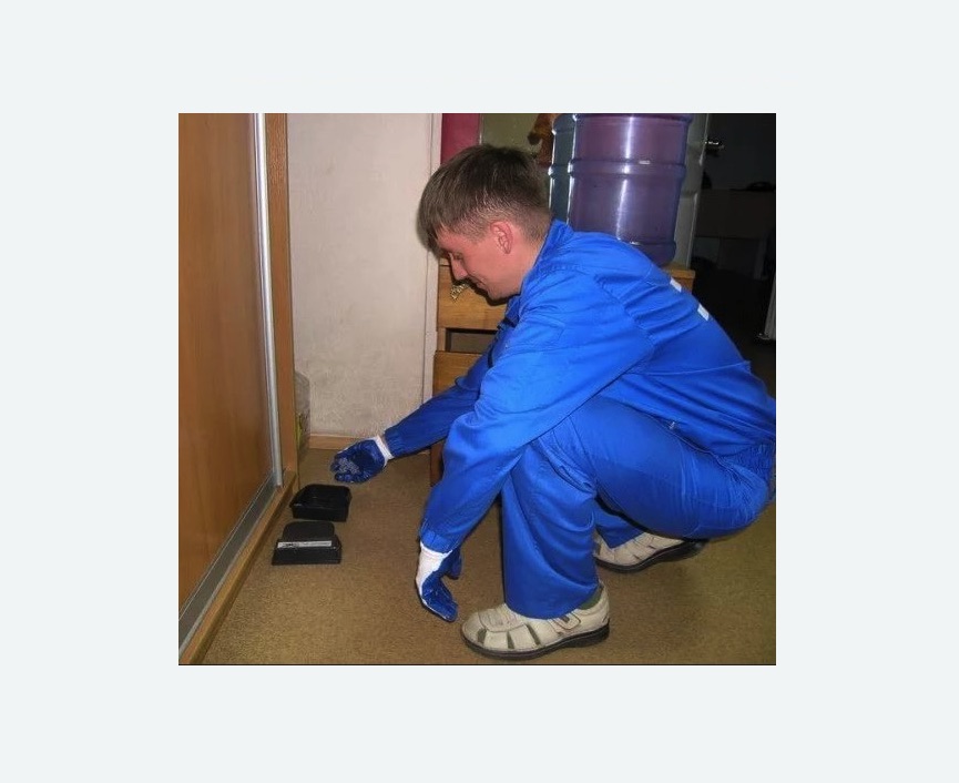 Дератизация крыс Алексеевская метро Москвы