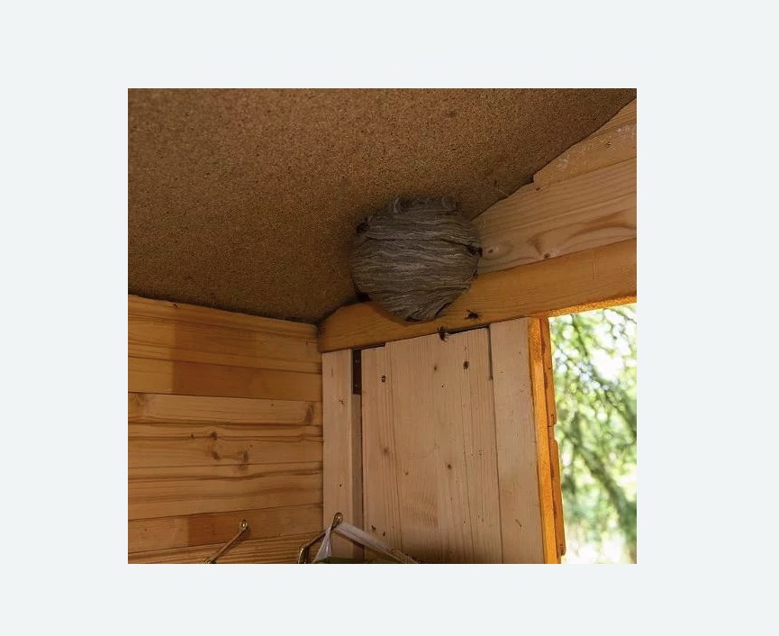 Обработка от ос Алексеевская метро Москвы Обработка от ос