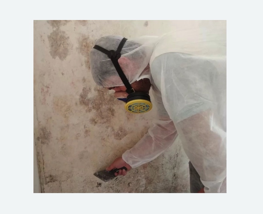 Обработка стен от плесени Обработка стен от плесени Алексеевская метро Москвы