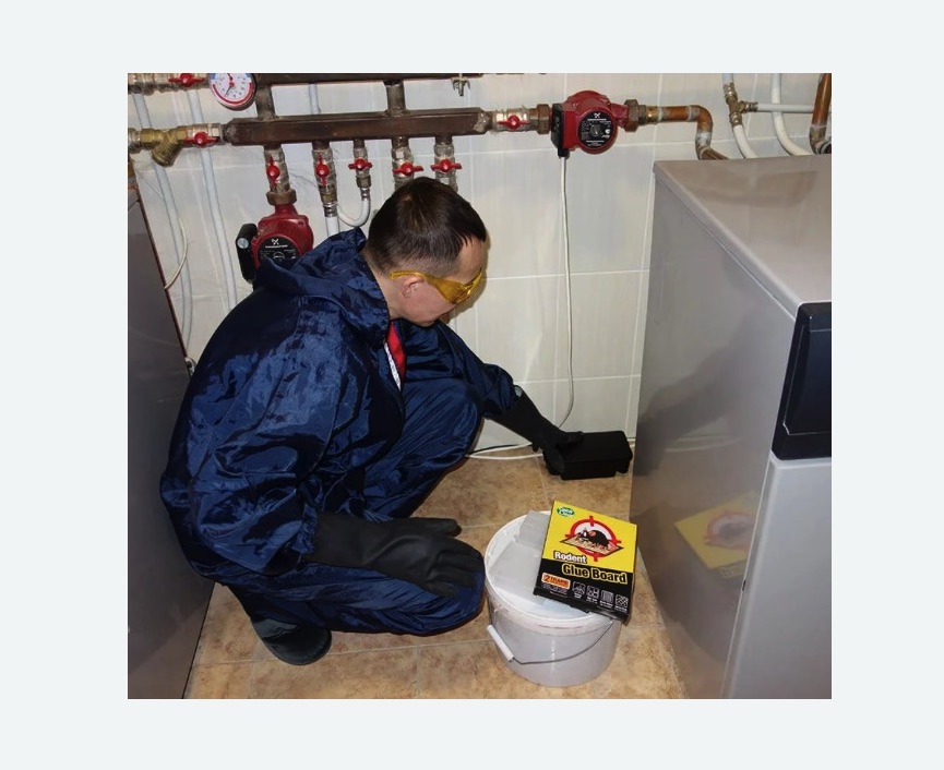 Уничтожение крыс Алексеевская метро Москвы