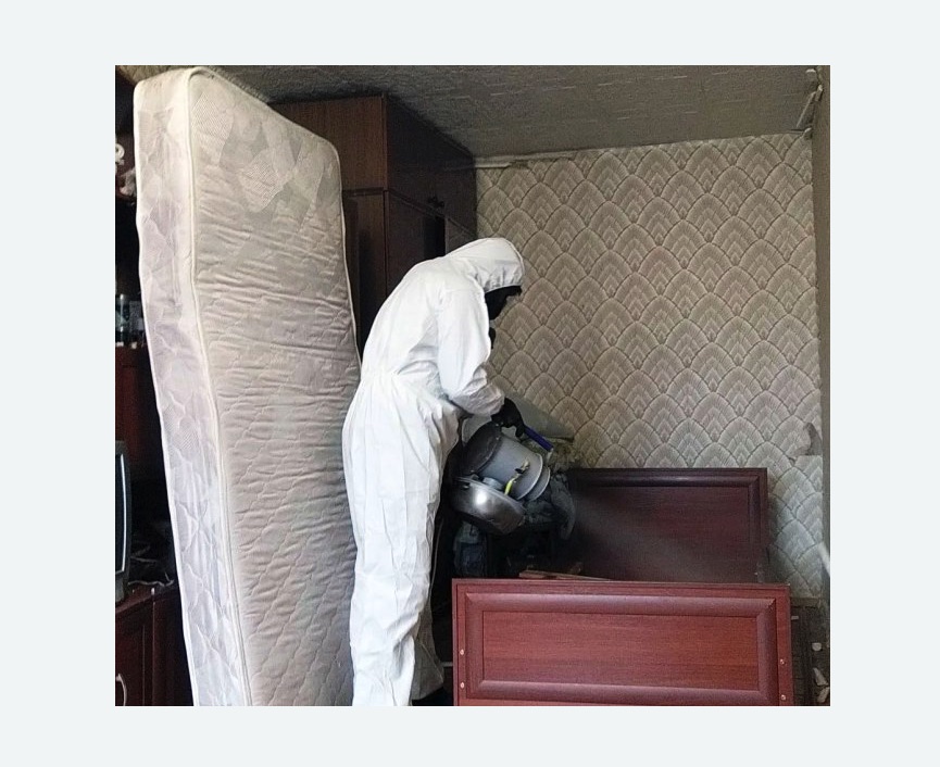 дезинфекция от клопов дезинфекция от клопов Алексеевская метро Москвы