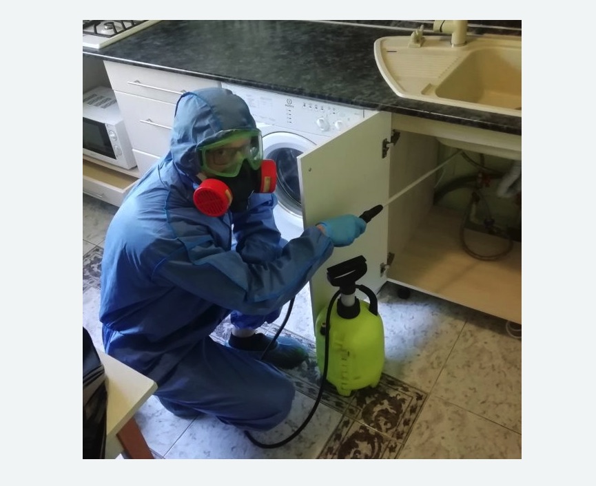 обработка от муравьев в квартире Алексеевская метро Москвы